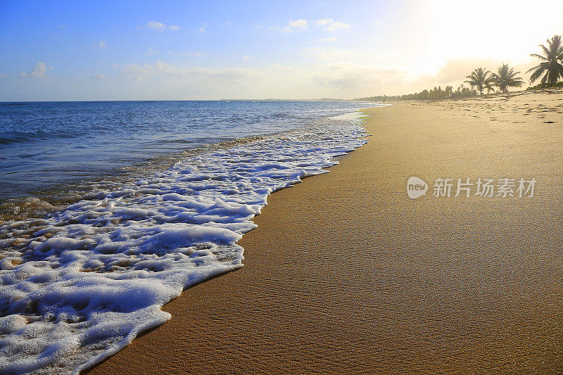 热带天堂:田园般的Praia do Forte海滩日落，巴伊亚，巴西